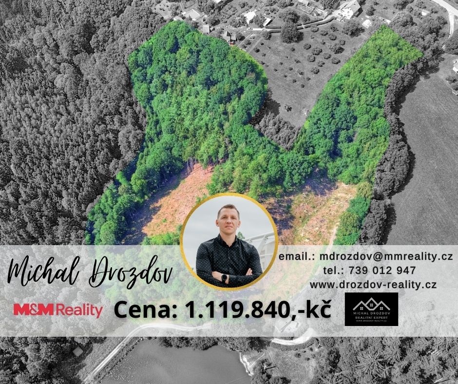 Prodej lesního pozemku