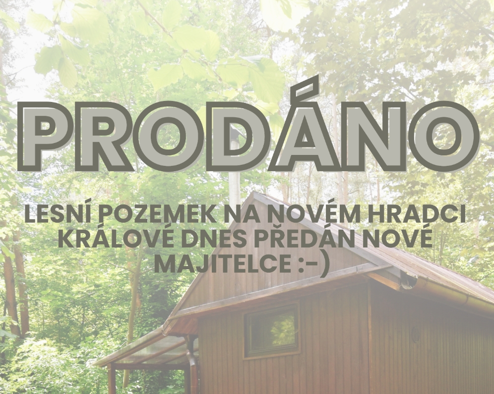 Prodej lesního pozemku s chatou